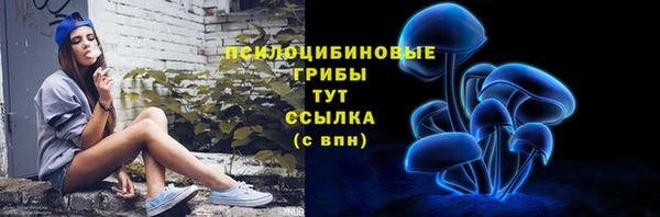 МДПВ Алзамай