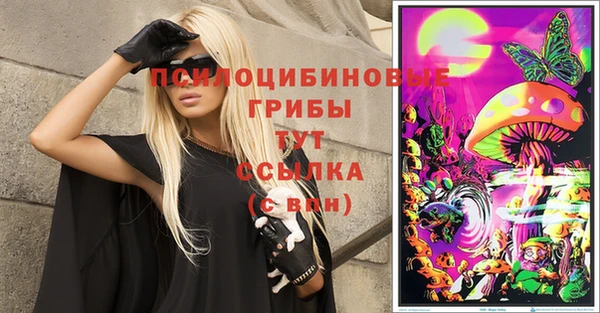 mdpv Алексин