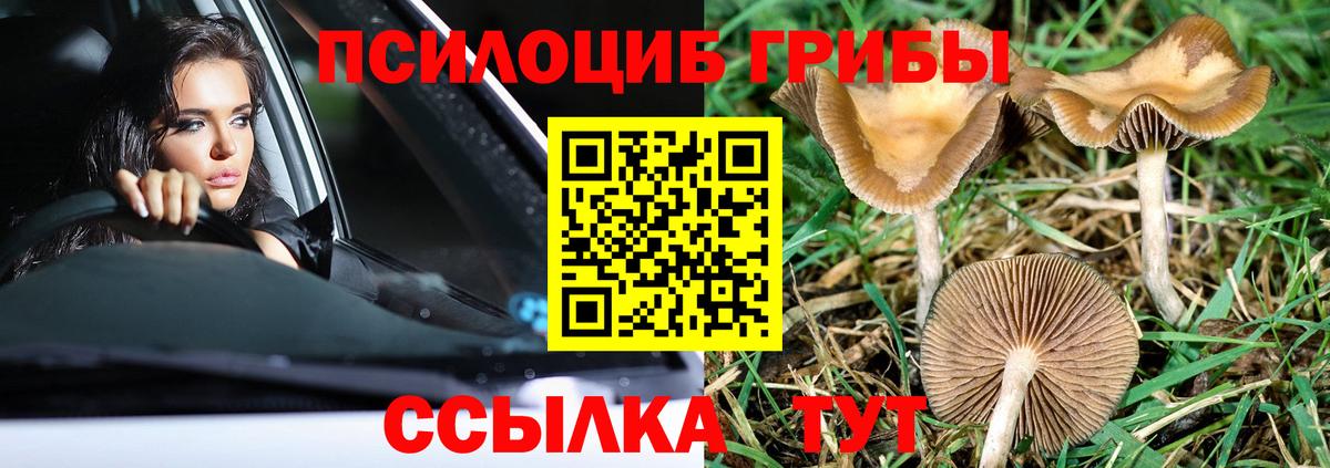 Галлюциногенные грибы мицелий Лесной