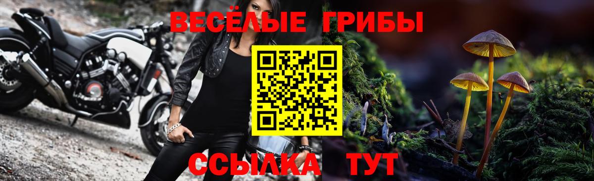 Псилоцибиновые грибы MAGIC MUSHROOMS Лесной