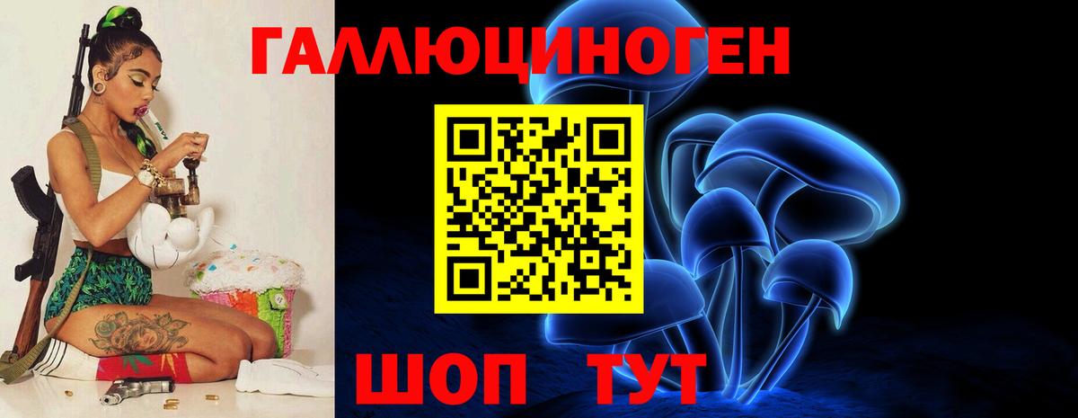 Псилоцибиновые грибы MAGIC MUSHROOMS  Вход с VPN  Лесной 