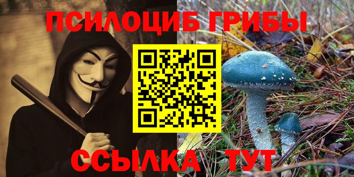 Ляпка  КОКАИН  Вход с VPN  Каннабис  Лесной  Мефедрон  Гарик  Меф  Диски  НБОМе 