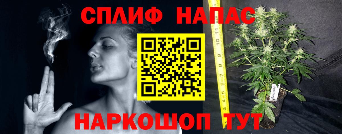 Бошки Шишки тримм Лесной