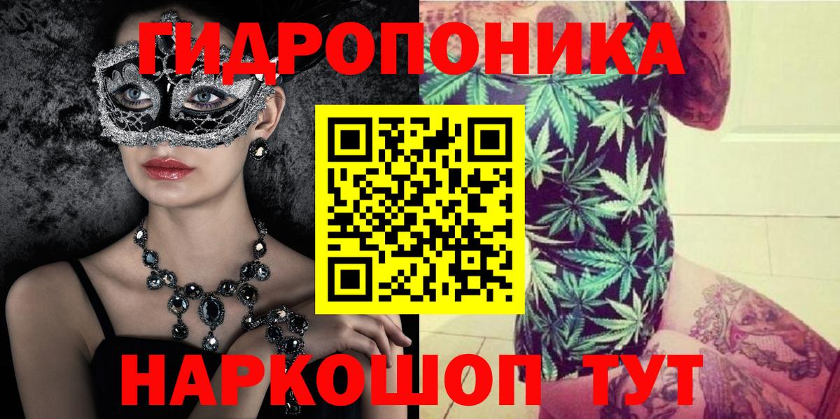 Каннабис марихуана  Лесной  Канабис гибрид  Бошки марихуана VHQ 