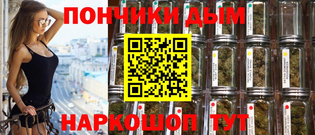 Лесной  Бошки Шишки семена  Конопля AK-47  Бошки Шишки индика  Каннабис гибрид  Вход с VPN 